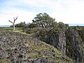 Andesite Lave Cap - Flickr - brewbooks (1)