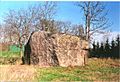 Aruküla kivi 2005