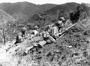 Baleta Pass, near Baugio, Luzon