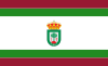 Flag of Hinojos