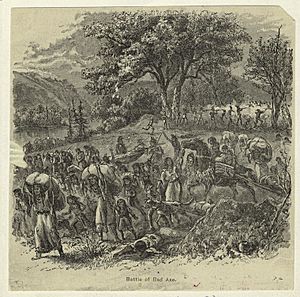 Battle of Bad Axe