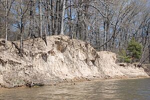 Boones Mounds, Arkansas DSC 0841 (8564787177)