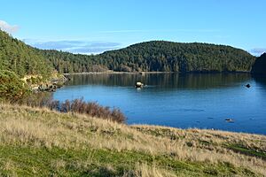 Bowman Bay from Rosario Head 03