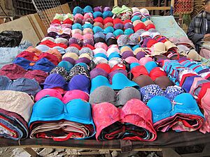 Brassieres, Cairo, 2013