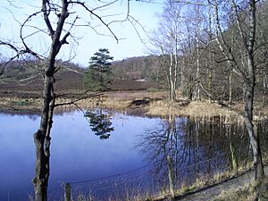 Brunssummerheide