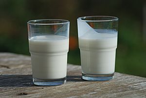 Buttermilk-(right)-and-Milk-(left).jpg