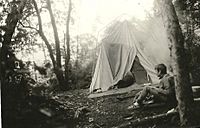 Camping Henri Pittier