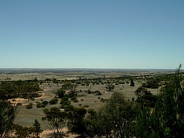 Caralue Bluff view looking west - panoramio.jpg