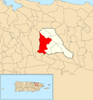 Location of Carraízo within the municipality of Trujillo Alto shown in red