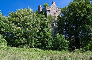 Castles of Munster - Ballyclogh, Cork - geograph.org.uk - 1393398