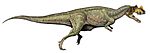 Ceratosaurus nasicornis DB