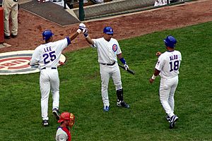 Chicago cubs celebrate 2004