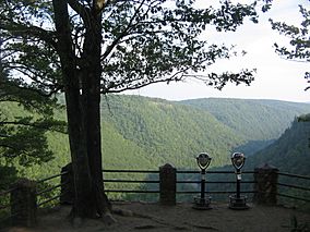 Colton Point State Park overlook 1.jpg