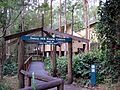 Daisy Hill Koala Centre, Queensland, Australia