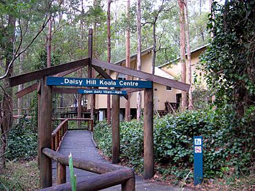 Daisy Hill Koala Centre, Queensland, Australia.jpg