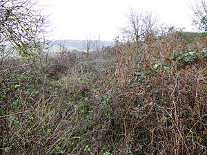 Dalham Farm 4