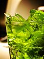 Day 18 - Still Eating The Green Jello (gifrancis)