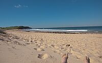 Dee Why Beach (5652796918)