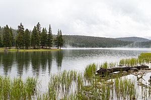 Dog Lake, Yosemite.jpg