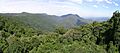 Dorrigo NP