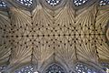 Ely Cathedral Lady Chapel ceiling
