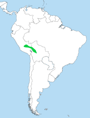 Eubucco versicolor dist.png
