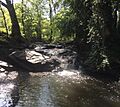 Fox Falls - DE