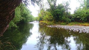 Glentunnel Swimming Hole (1)