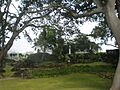 Grace-Cook-House-Honolulu