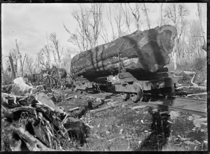 Horse-drawn rail timber wagon hauling a log to the mill at Horopito ATLIB 288863