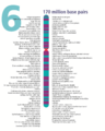Human chromosome 06 from Gene Gateway - with label