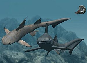 Hybodus NT