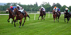 Irl-Sligo horse racing
