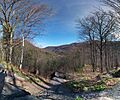 KaaterskillClove NY panorama
