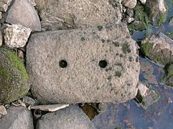 Kilmarnock & Troon railway sleeper