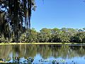 Lake Seminole Park Scenery