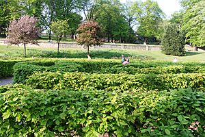 Lincoln Arboretum maze