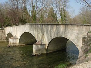 Loches sur Ource le pont romain avril 2009