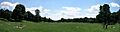 Long-Meadow-Panorama-M01