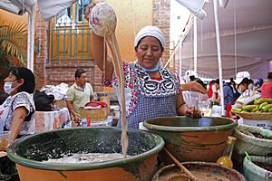 MX MR MUESTRA ALIMENTARIA INDÍGENA (28372824688)