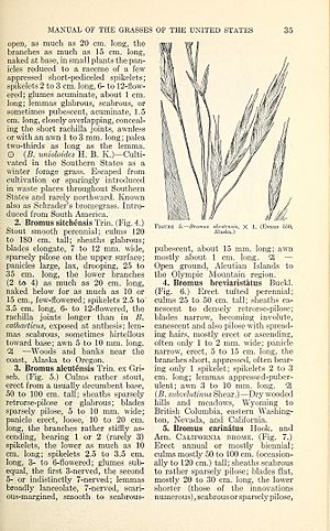 Manual of the grasses of the United States (Page 35) BHL42020636