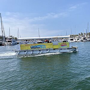 Marina Del Rey WaterBus