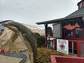 Marine mammal stranding center museum.jpg