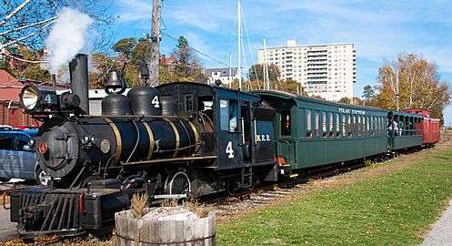 Narrow Gauge Steam Train (10380948035)