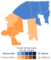 New York's 23rd congressional district special election, 2009 results by county