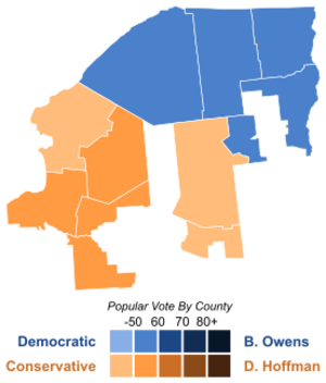 New York's 23rd congressional district special election, 2009 results by county