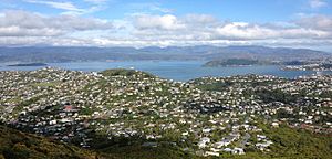 Ngaio, Wellington, New Zealand from the Ngaio Hills.jpg