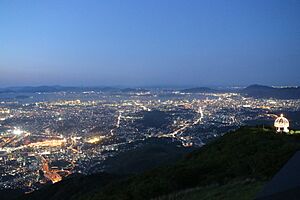 Night Views from Mount Sarakura 20170527-8