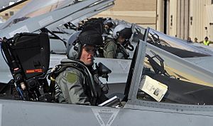 No 77 Sqn RAAF pilots Feb 2010