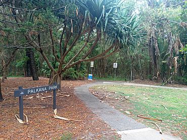 Palkana Park at Warana, Queensland.jpg